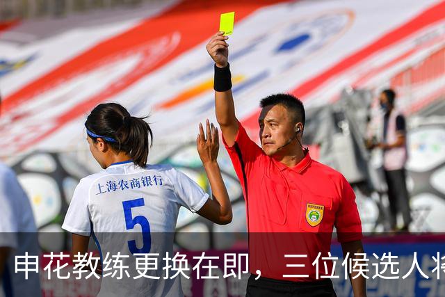 申花教练更换在即，三位候选人将助球队振兴
